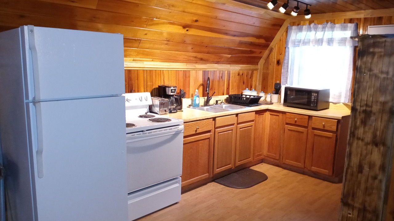 Photo of Kitchen in Wellington