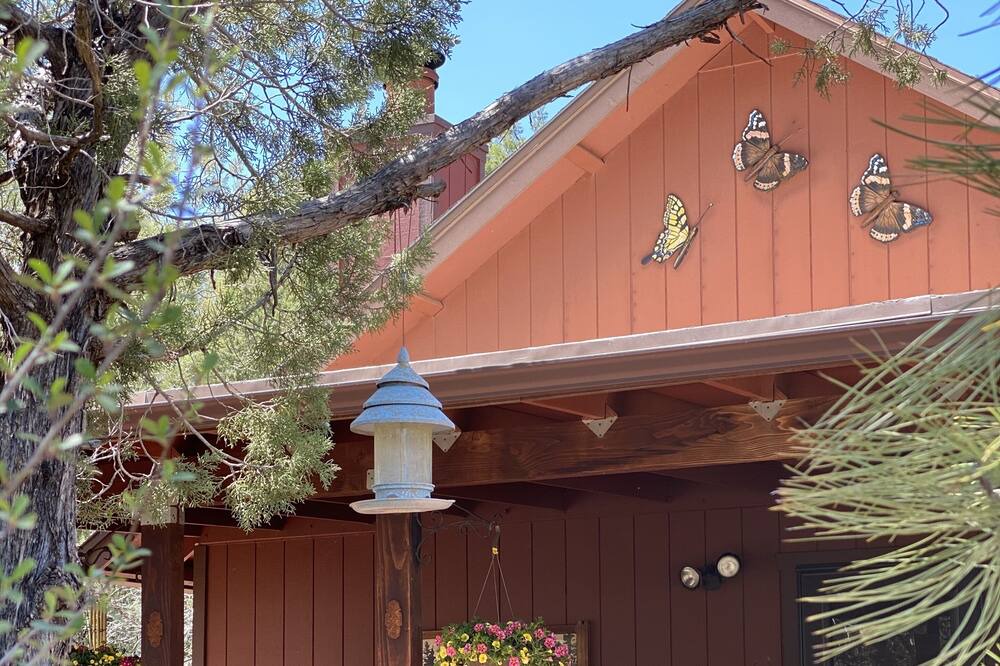 Photo of Outdoor in Payson