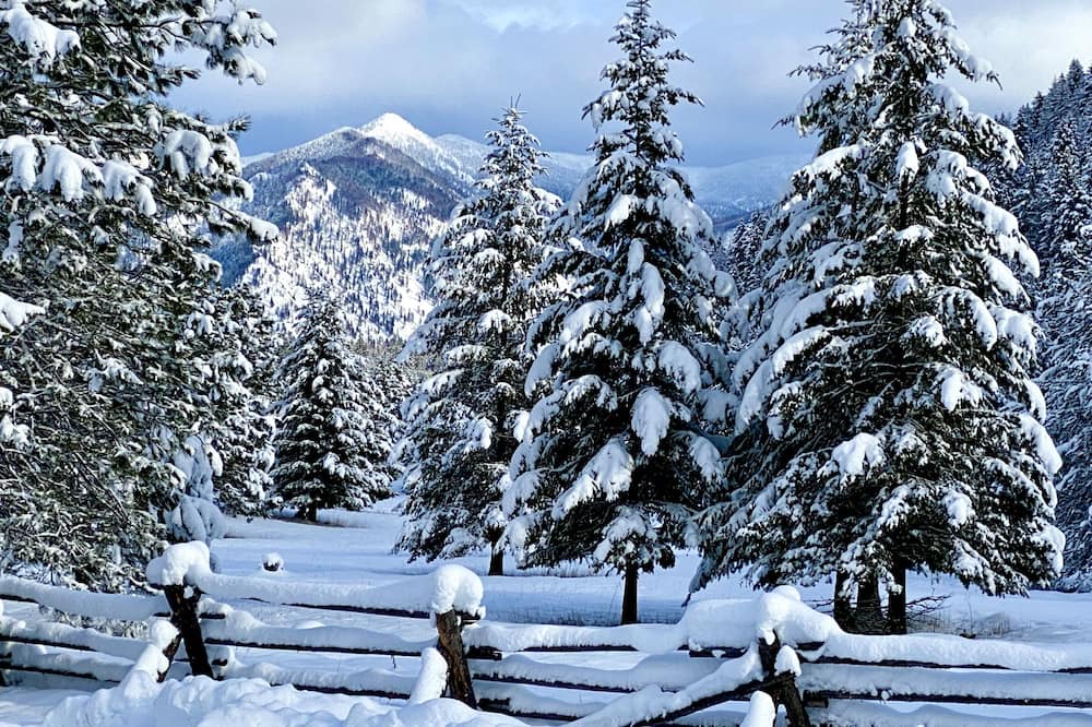 Photo of Outdoor in Thompson Falls