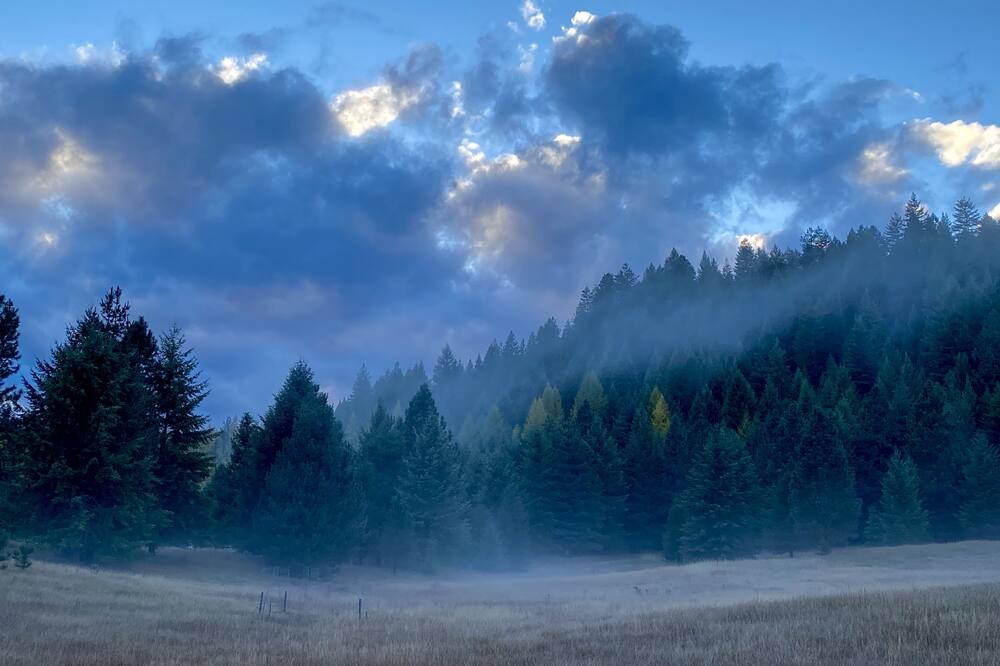 Photo of Others in Thompson Falls