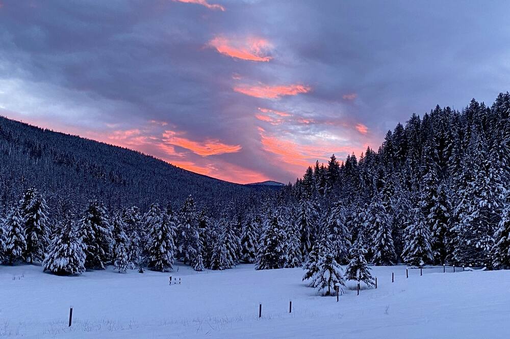Photo of Others in Thompson Falls