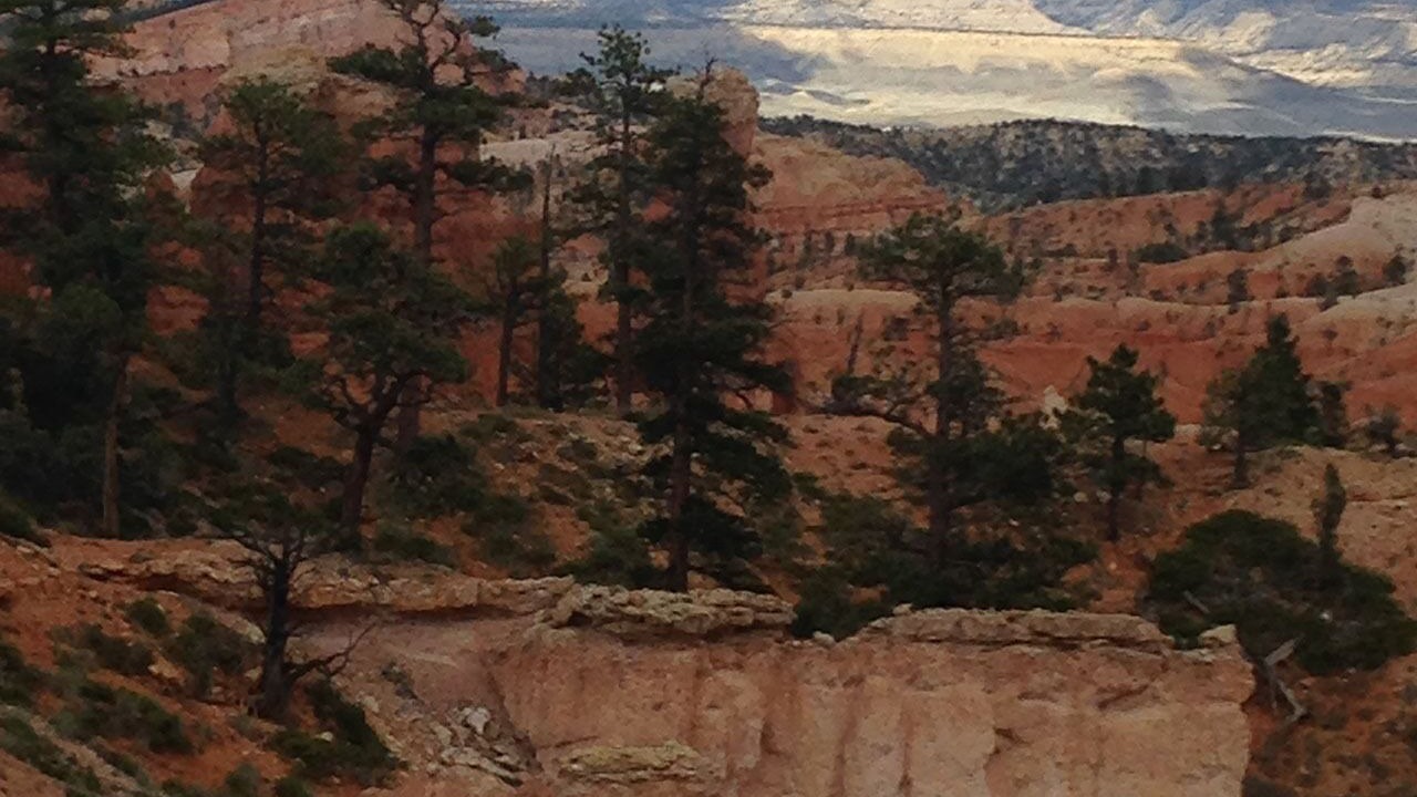 Photo of Outdoor in Hatch