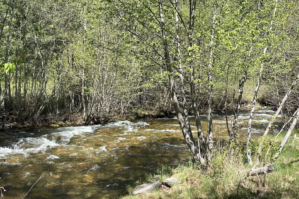 Photo of Outdoor in Missoula