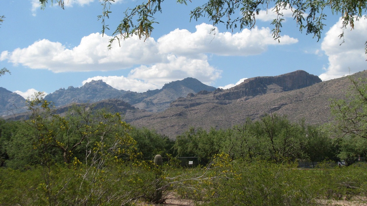 Photo of Outdoor in Catalina Ranch Estates