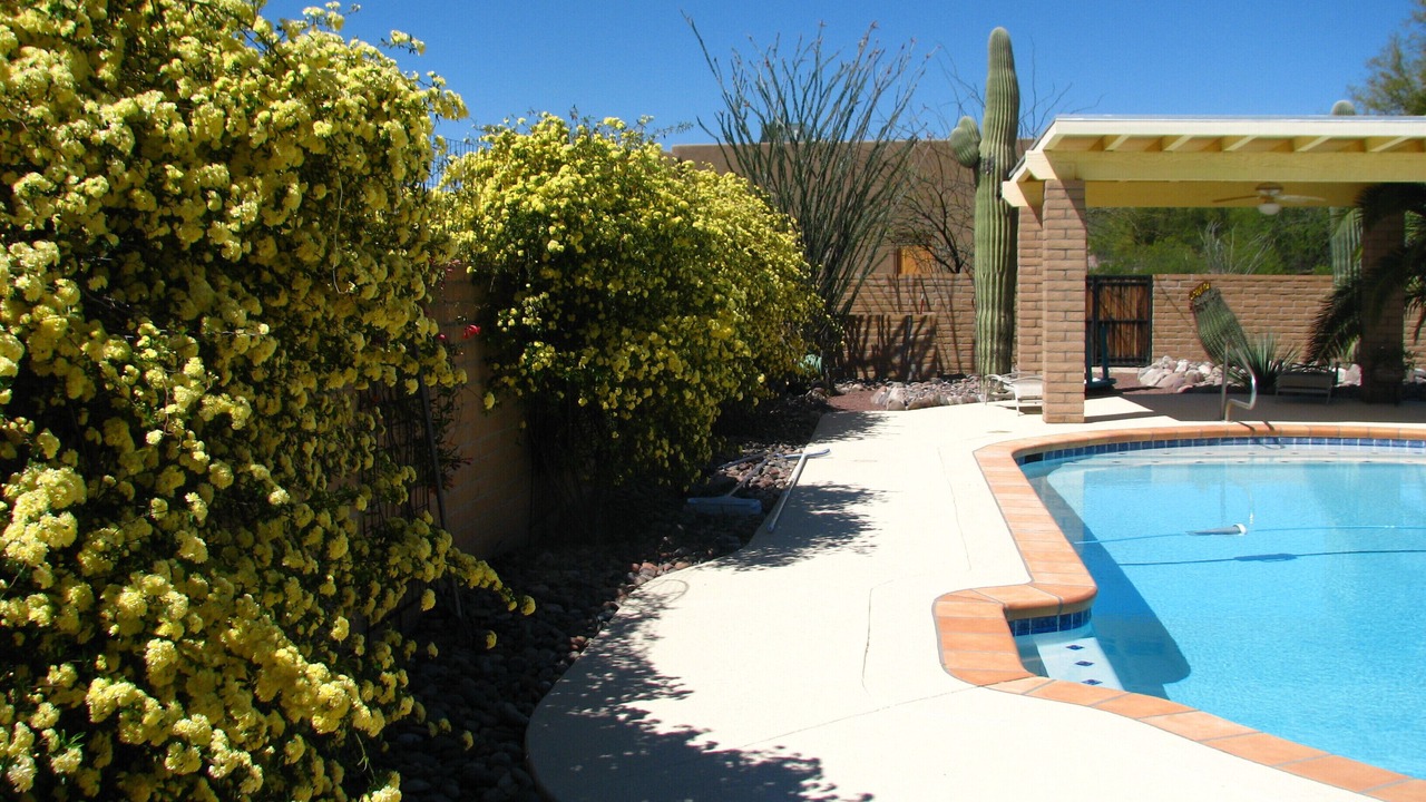Photo of Outdoor in Catalina Ranch Estates