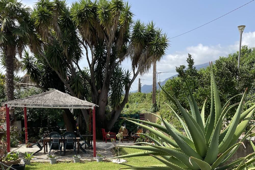 Photo of Outdoor in Santa-Lucia-di-Moriani