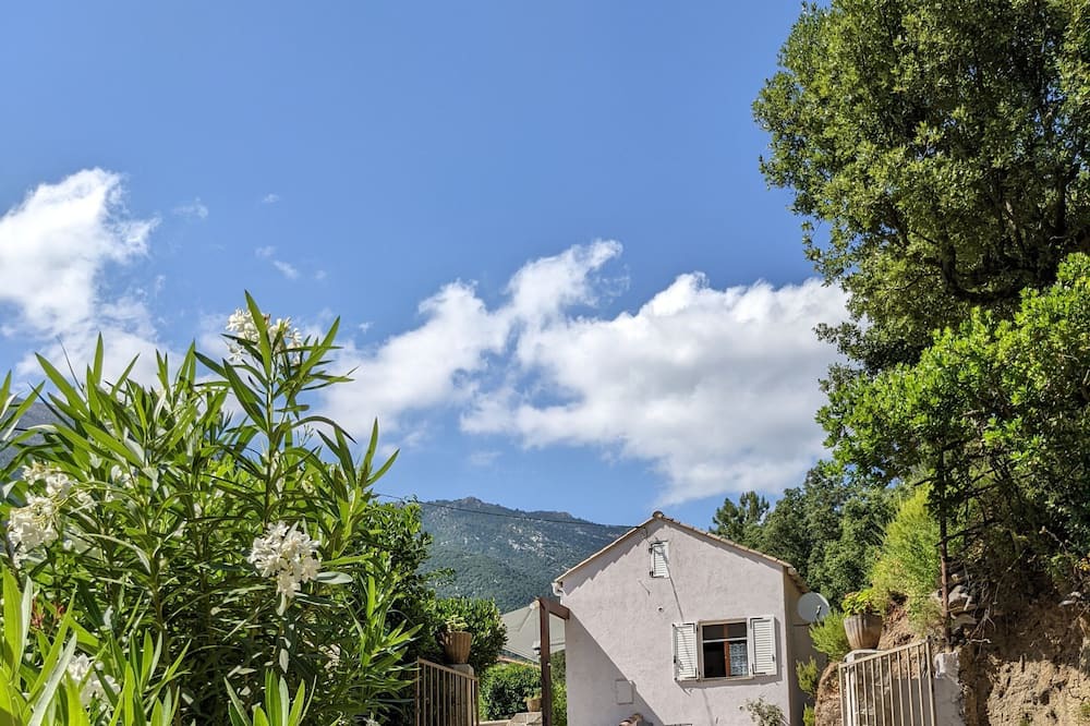 Photo of Outdoor in Chisa