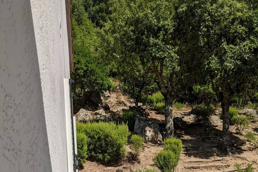 Photo of Outdoor in Chisa