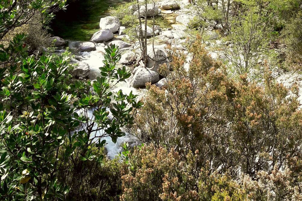 Photo of Outdoor in Chisa