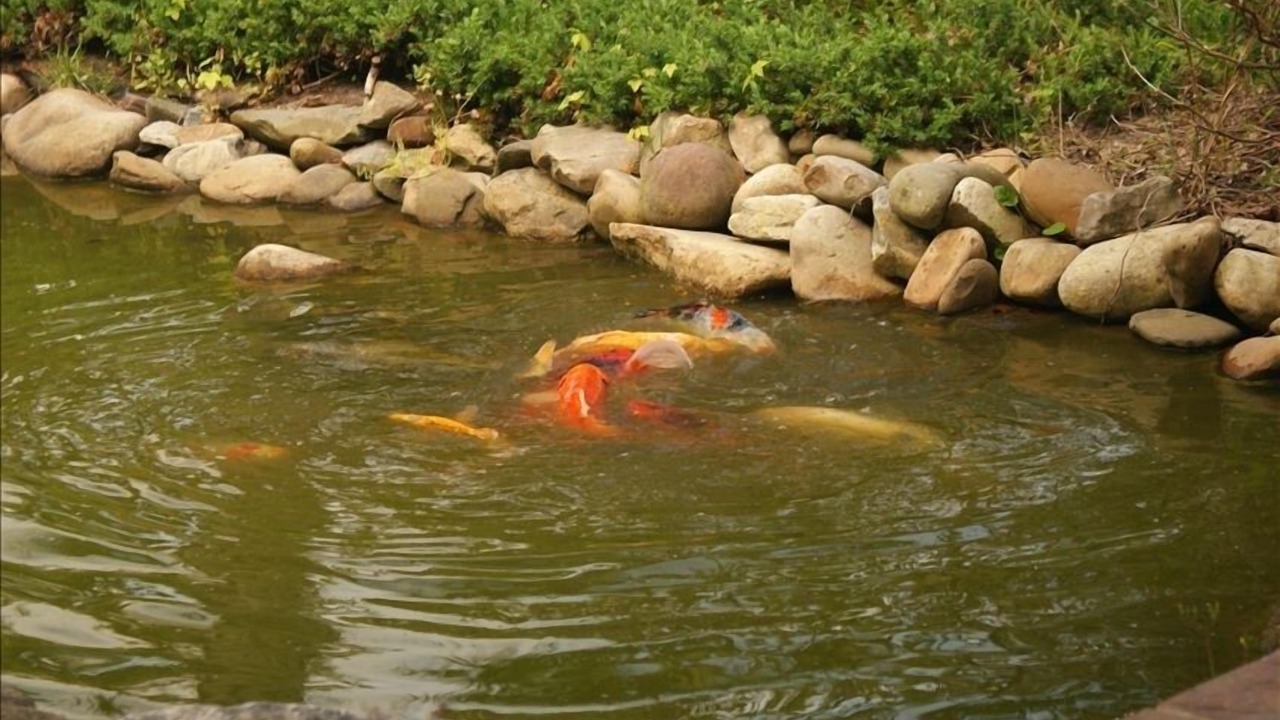 Photo of Outdoor in Wilmington