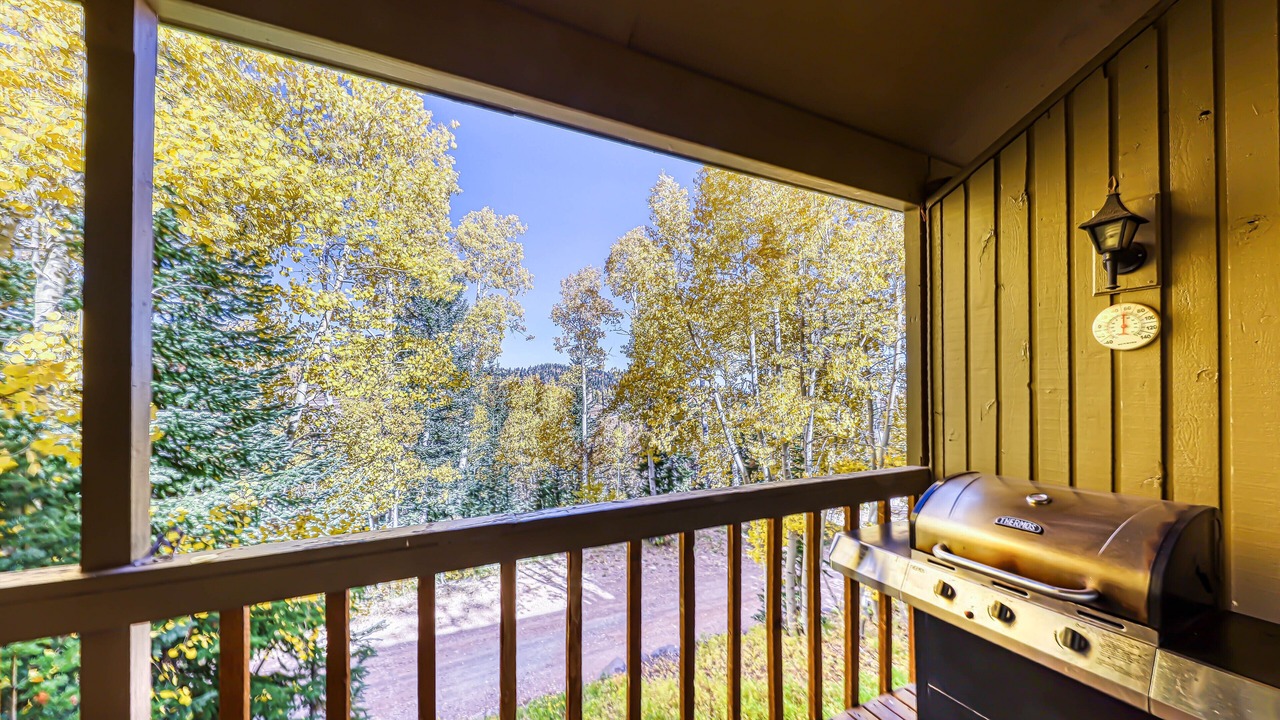 Photo of Patio Balcony in Brian Head