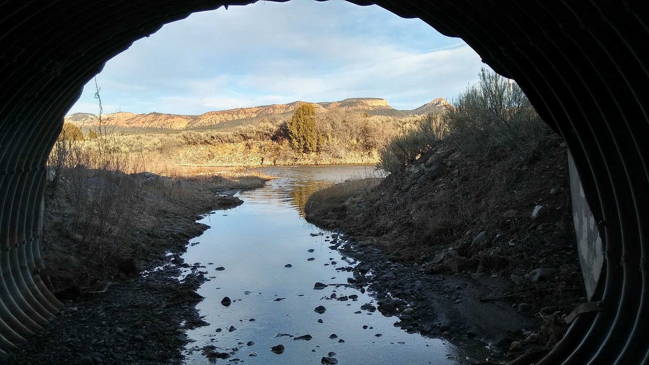 Photo of Others in Panguitch