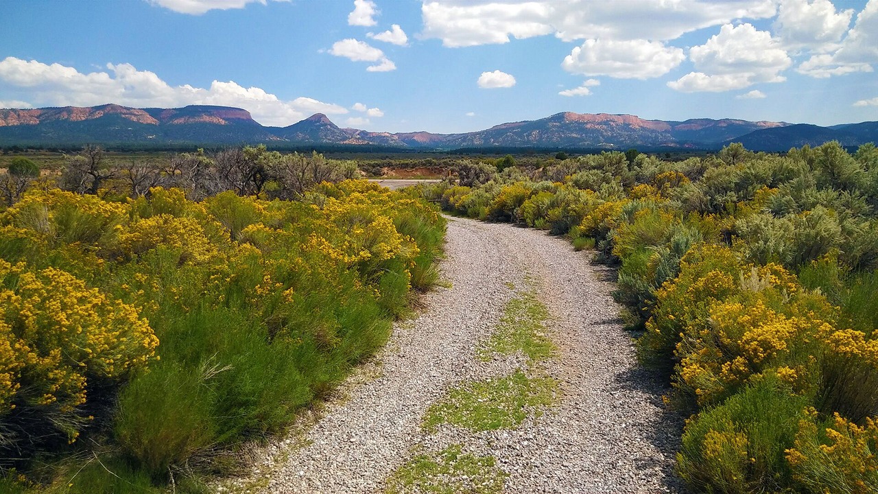 Photo of Outdoor in Panguitch