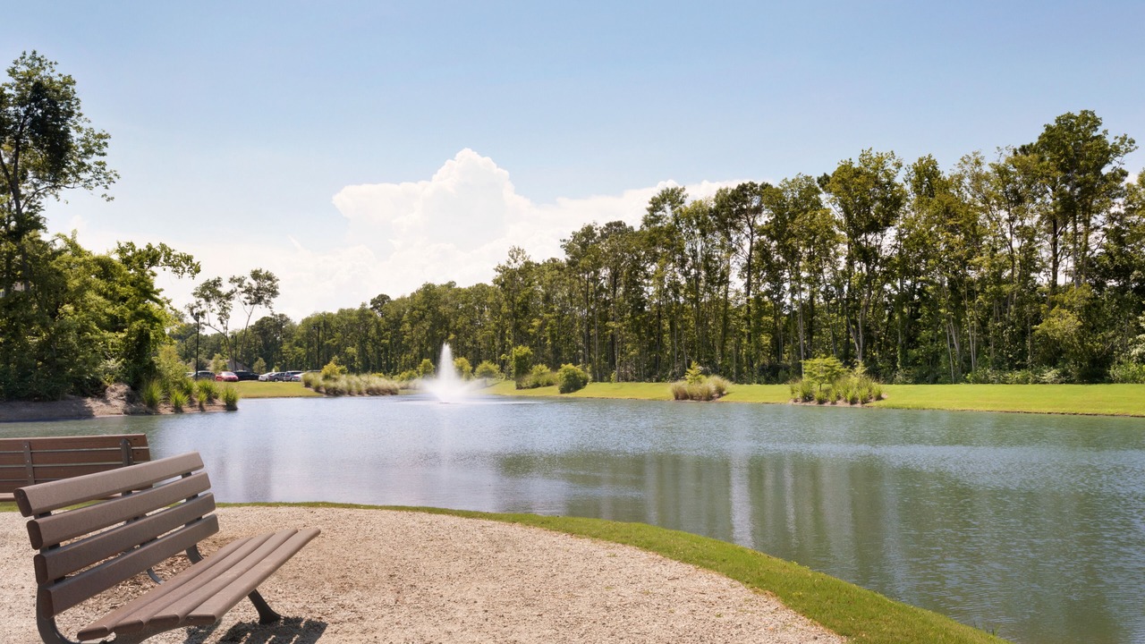 Photo of Outdoor in Mount Pleasant