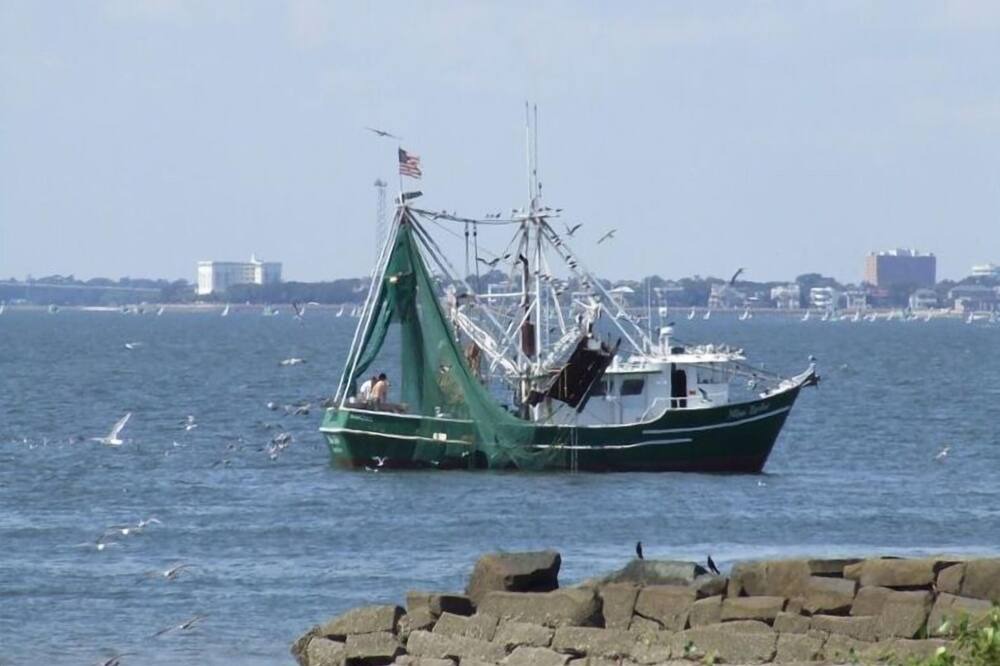 Photo of Others in Sullivan's Island