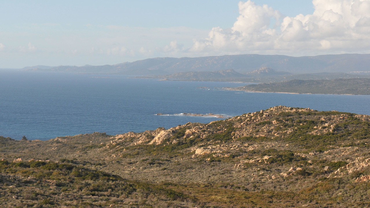 Photo of Others in Bonifacio