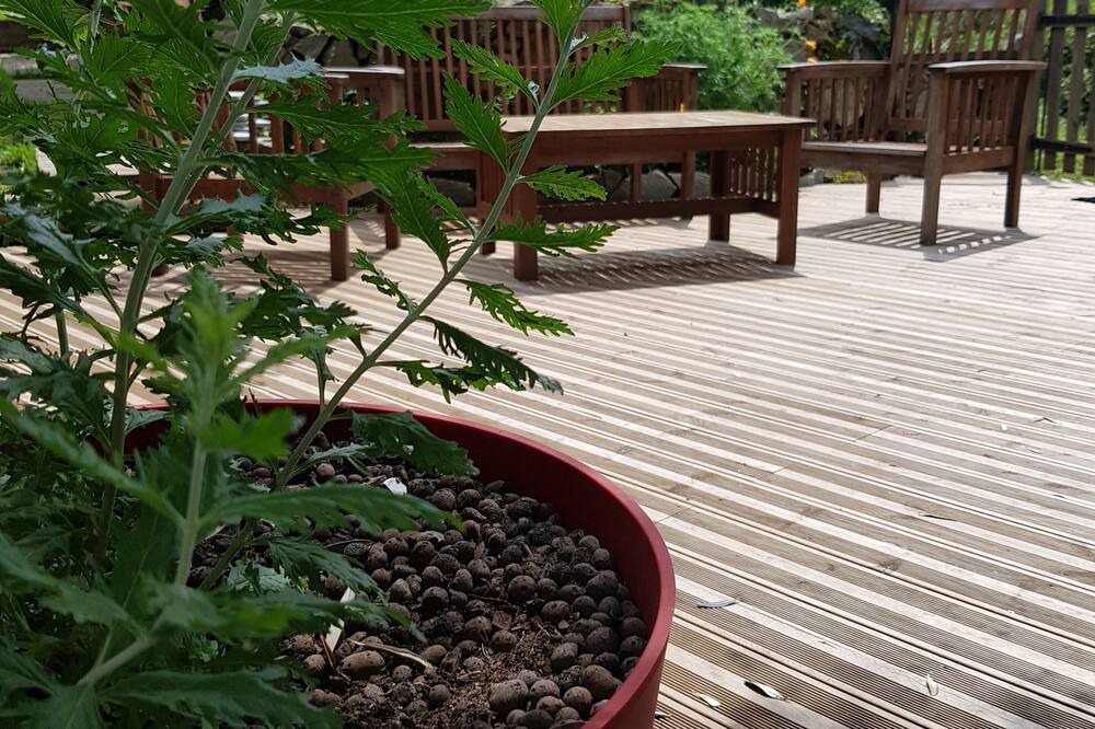 Photo of Outdoor in Olmiccia