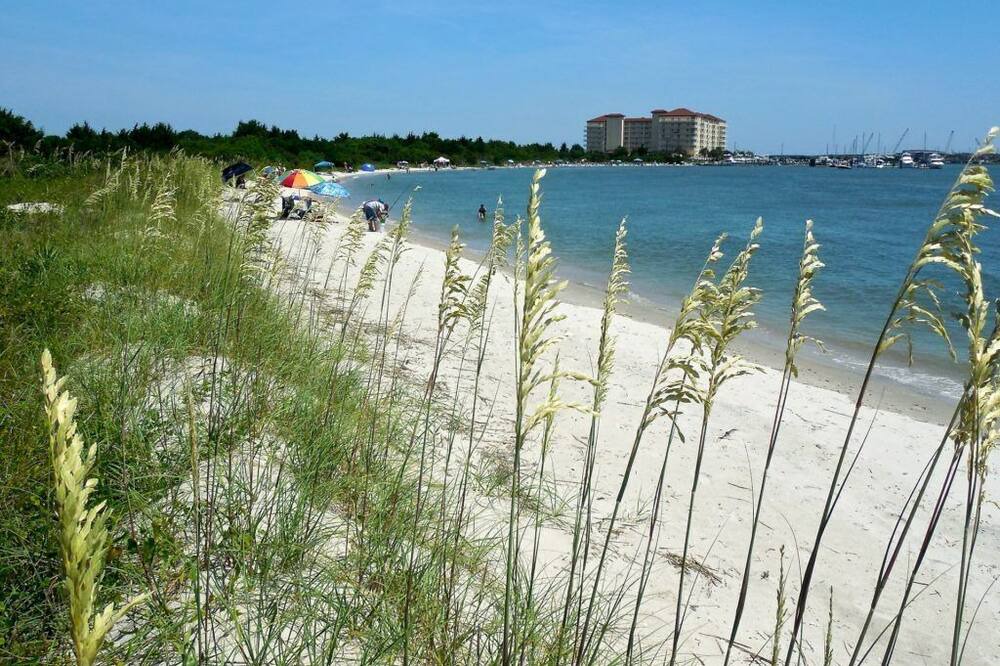 Photo of Others in Morehead City