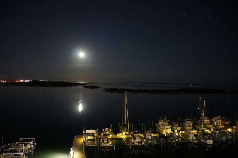 Photo of Others in Morehead City
