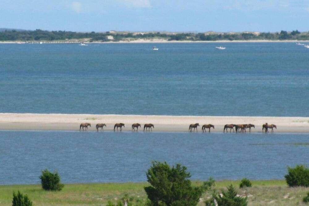 Photo of Others in Morehead City