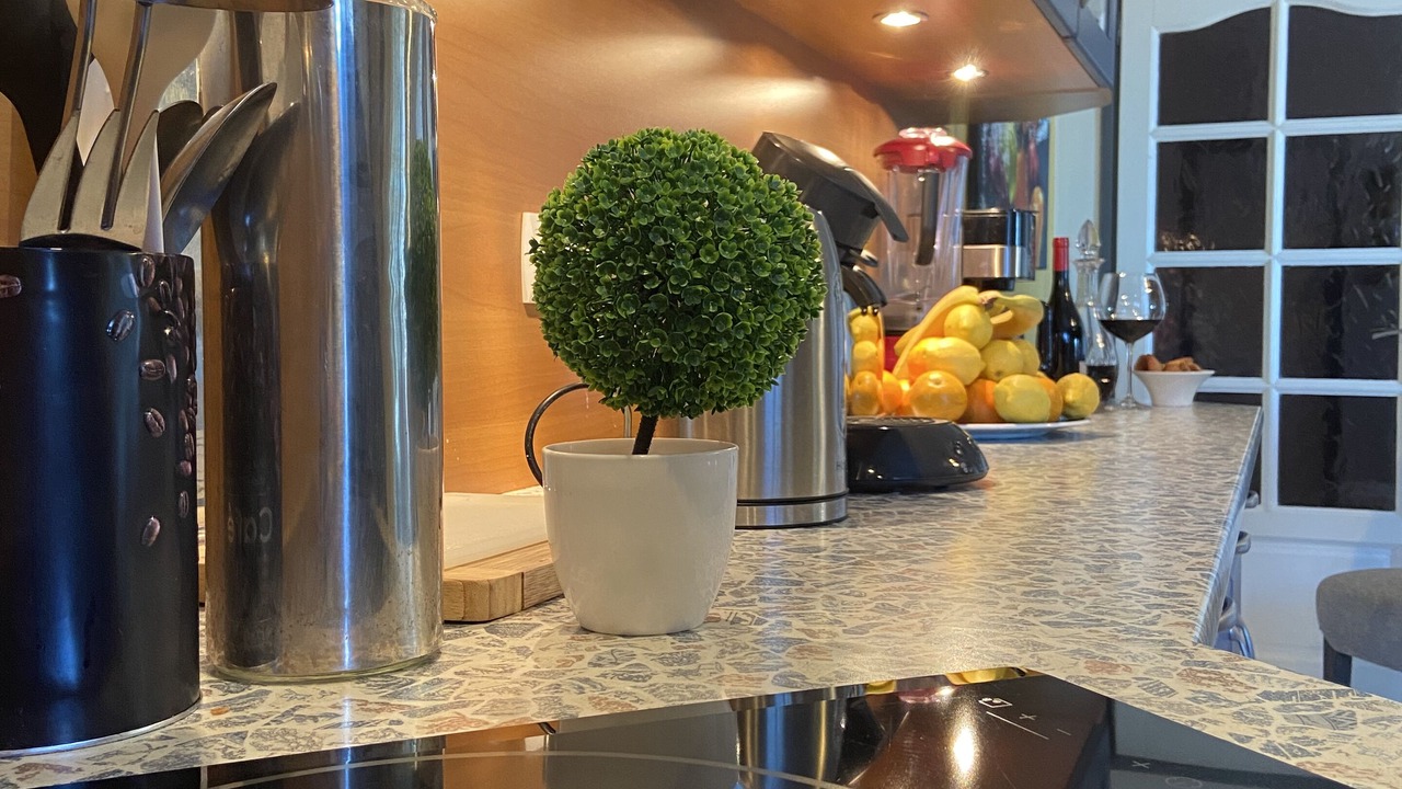 Photo of Kitchen in Biguglia