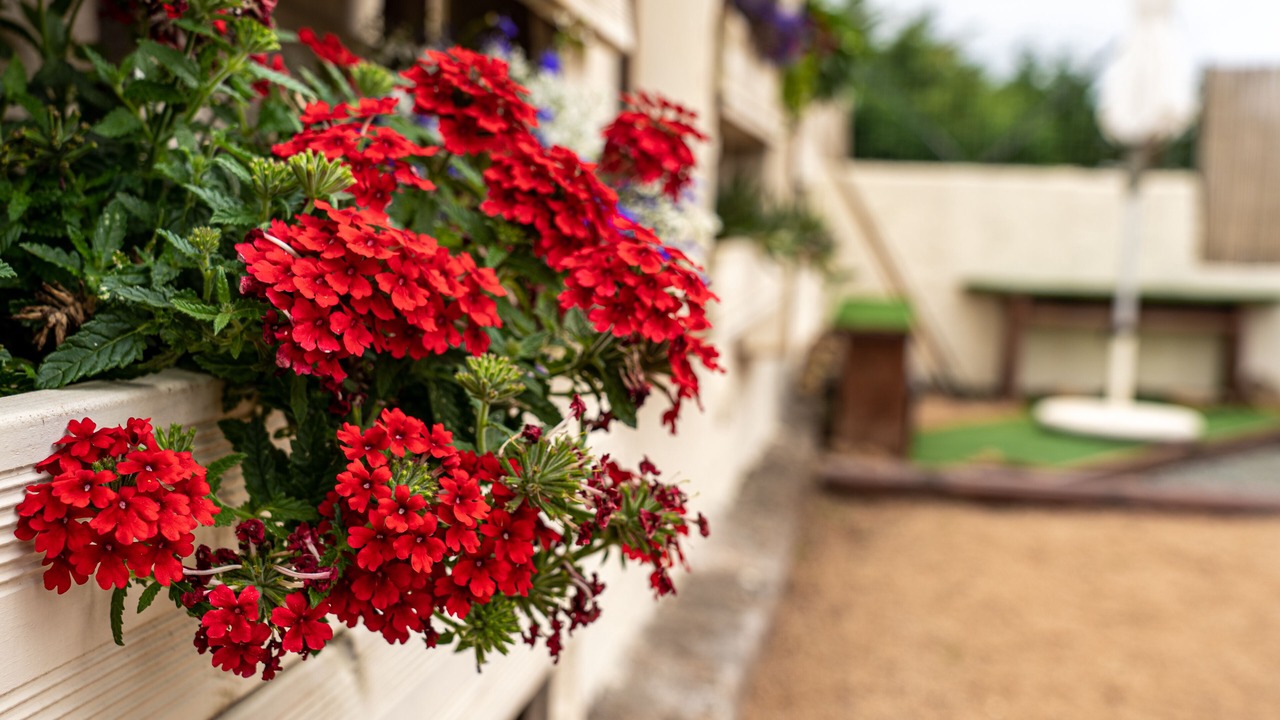 Photo of Outdoor in Biguglia