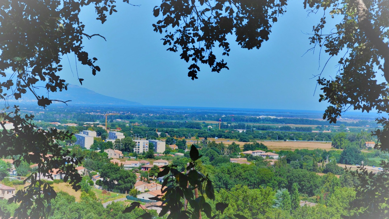 Photo of Others in Venzolasca
