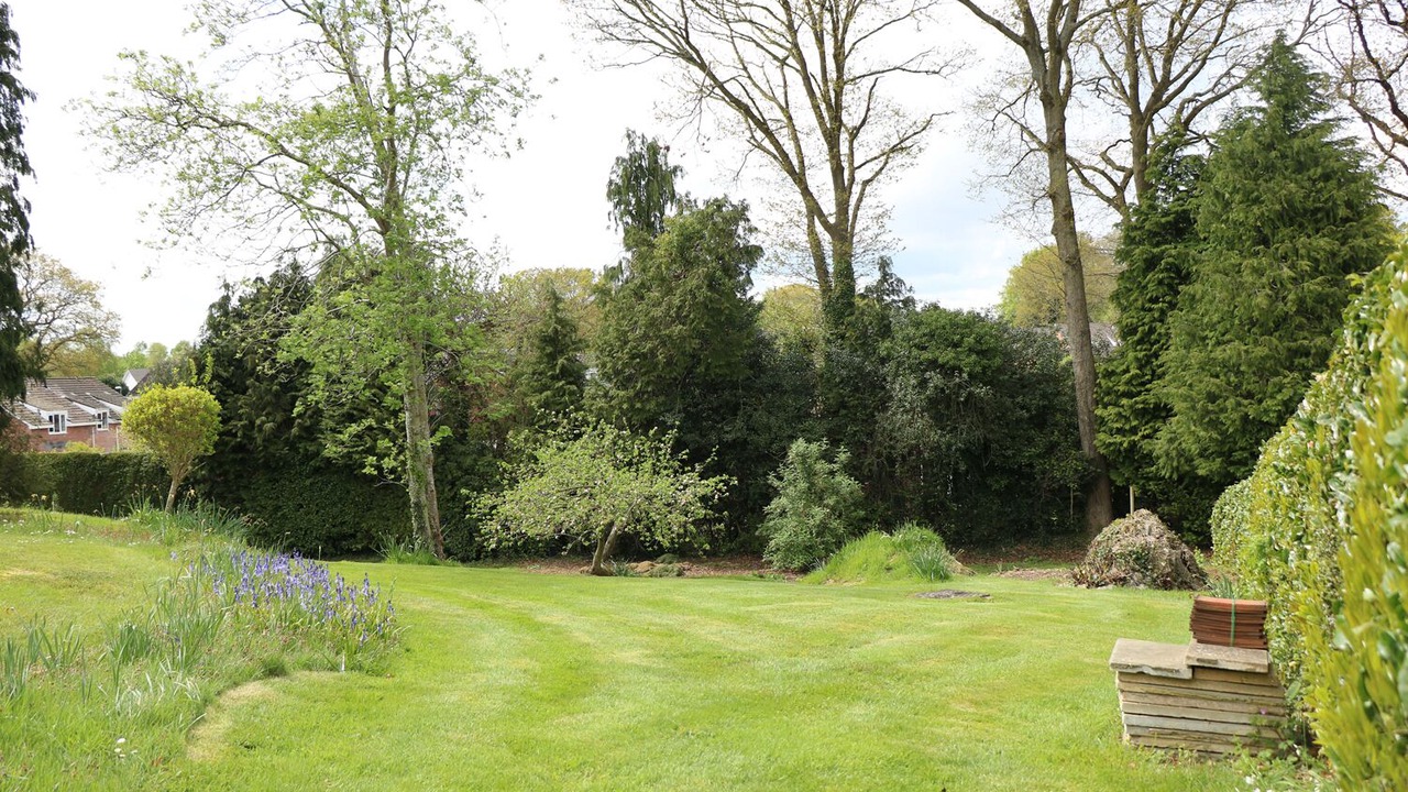 Photo of Others in Verwood