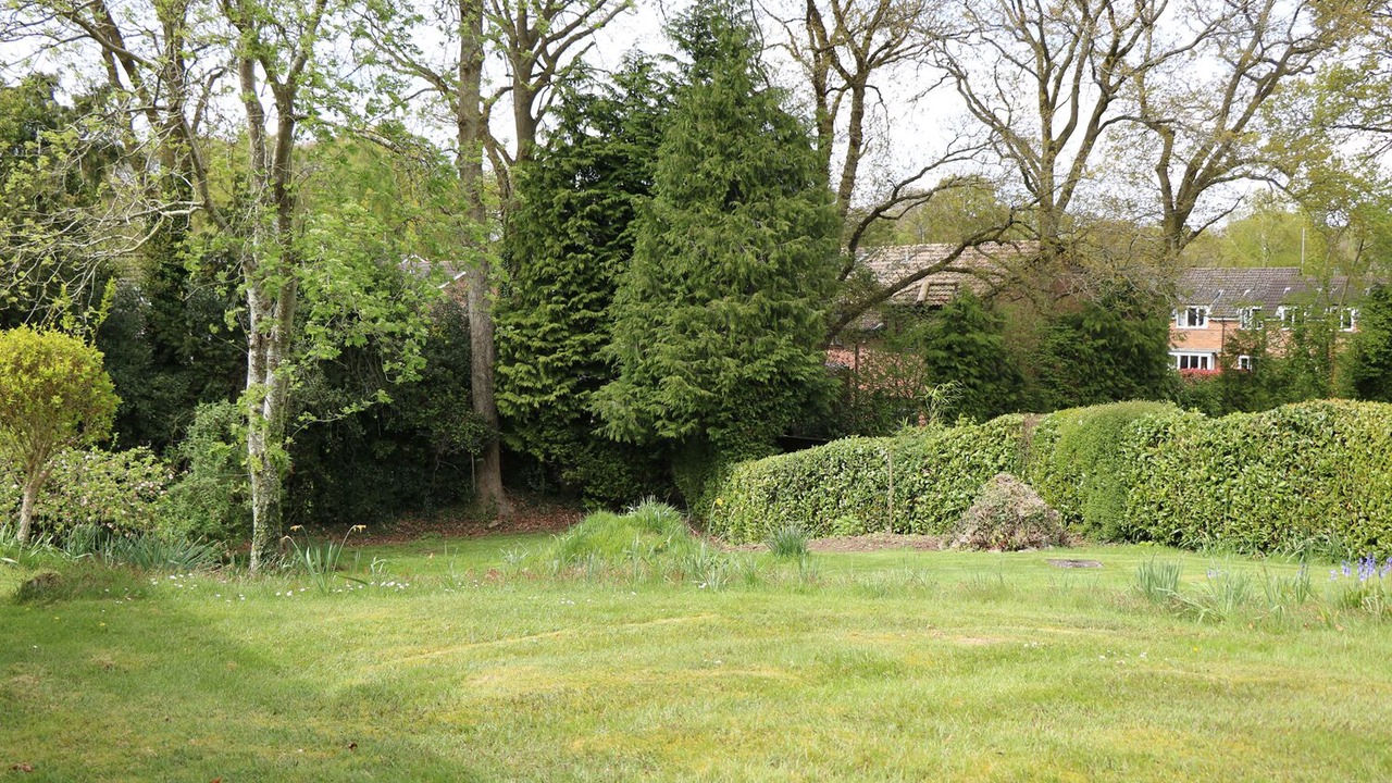 Photo of Others in Verwood