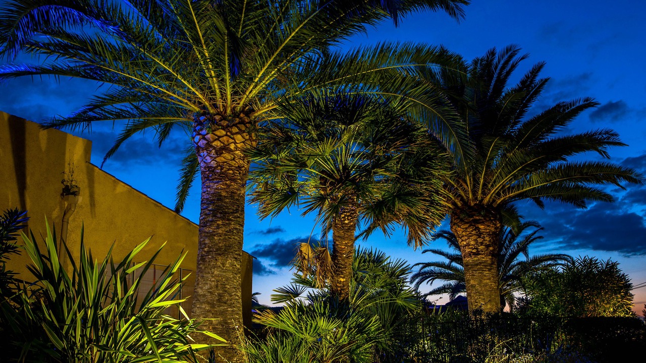 Photo of Outdoor in Calvi