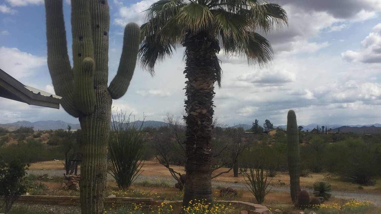 Photo of Outdoor in Wickenburg