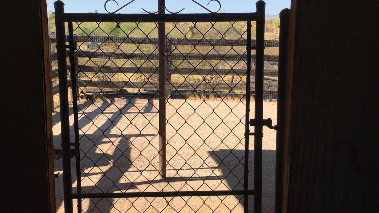 Photo of Patio Balcony in Wickenburg