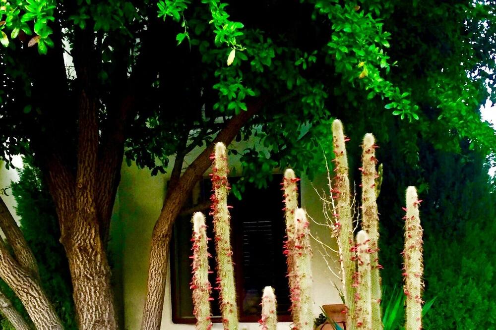 Photo of Others in Tubac