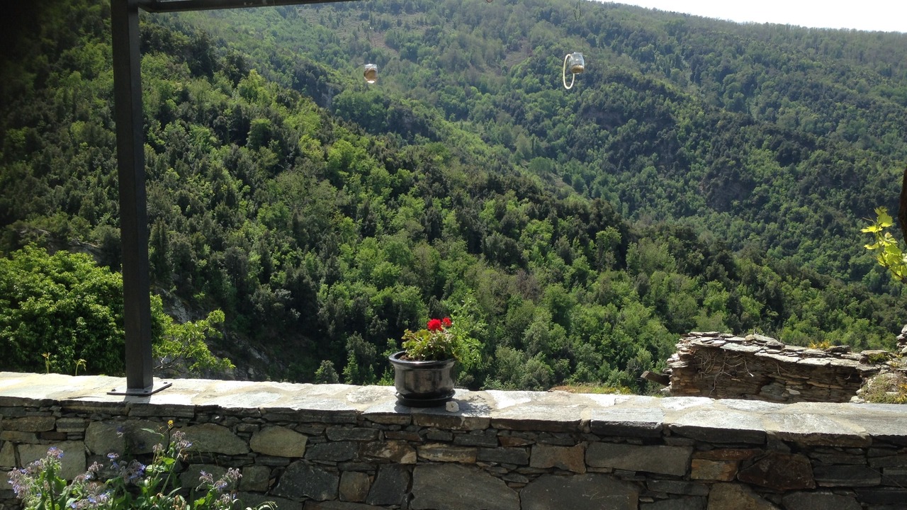 Photo of Outdoor in Monte
