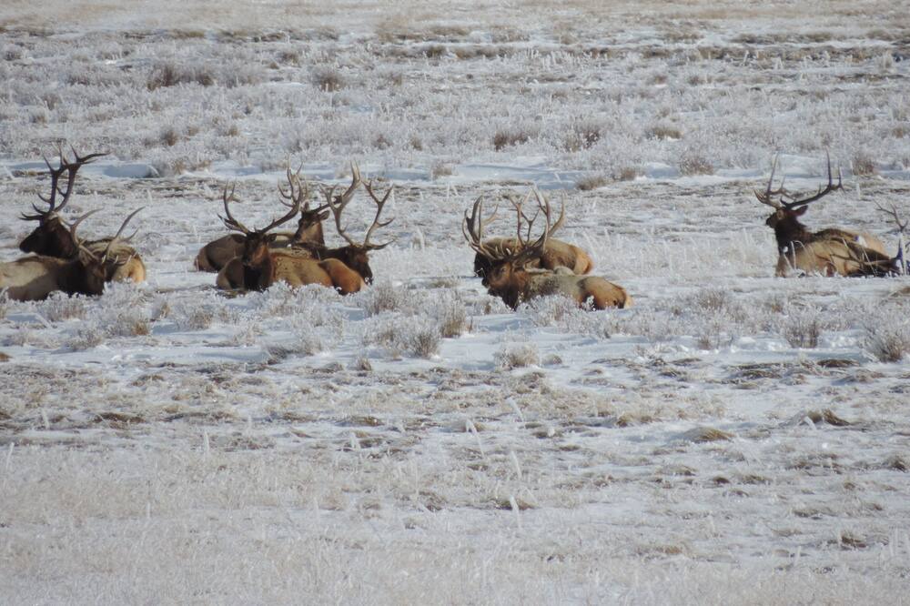 Photo of Others in Alpine Northeast