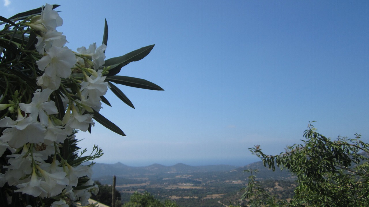 Photo of Outdoor in Occhiatana