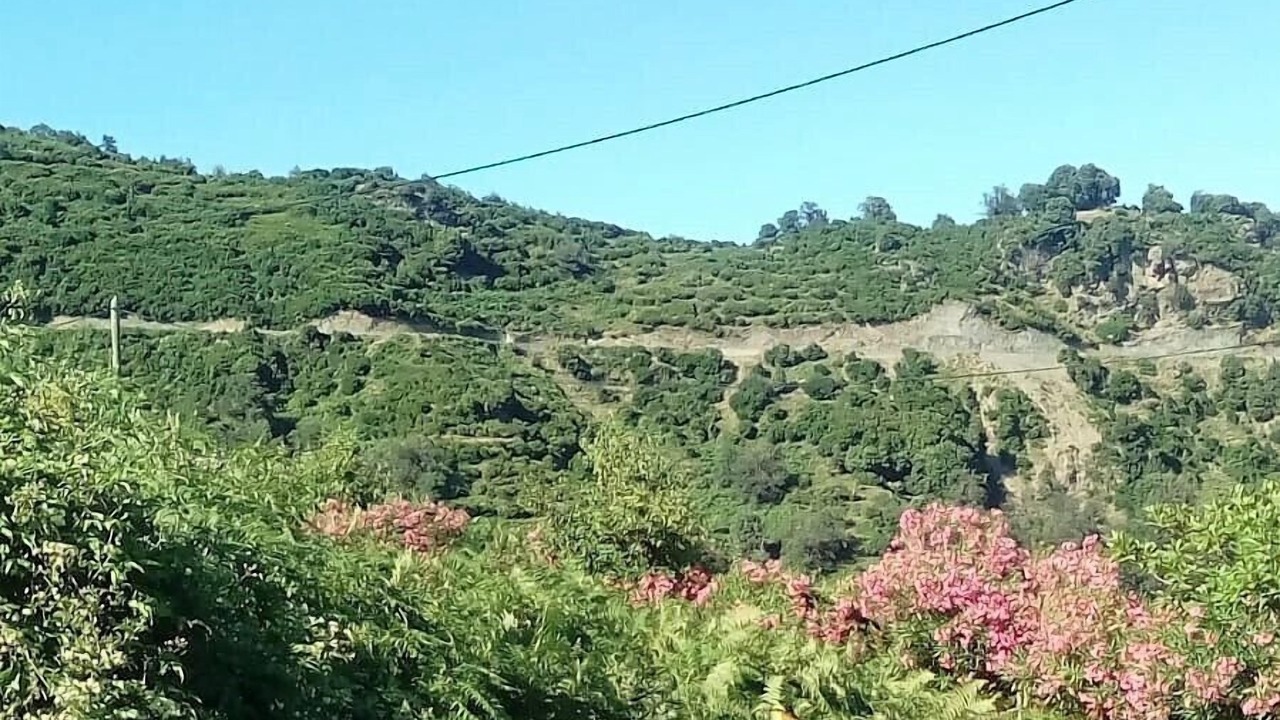 Photo of Others in Porri