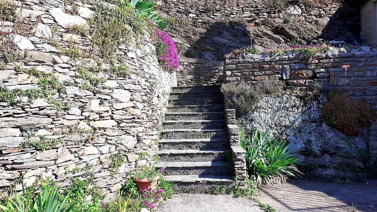 Photo of Outdoor in Porri