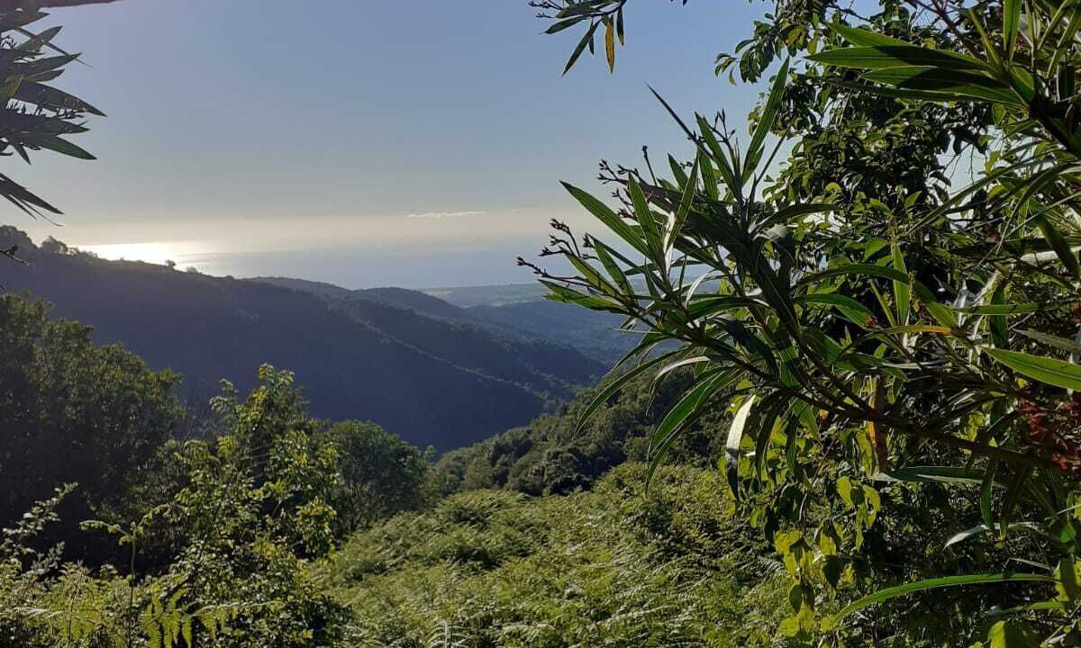 Photo of Outdoor in Porri