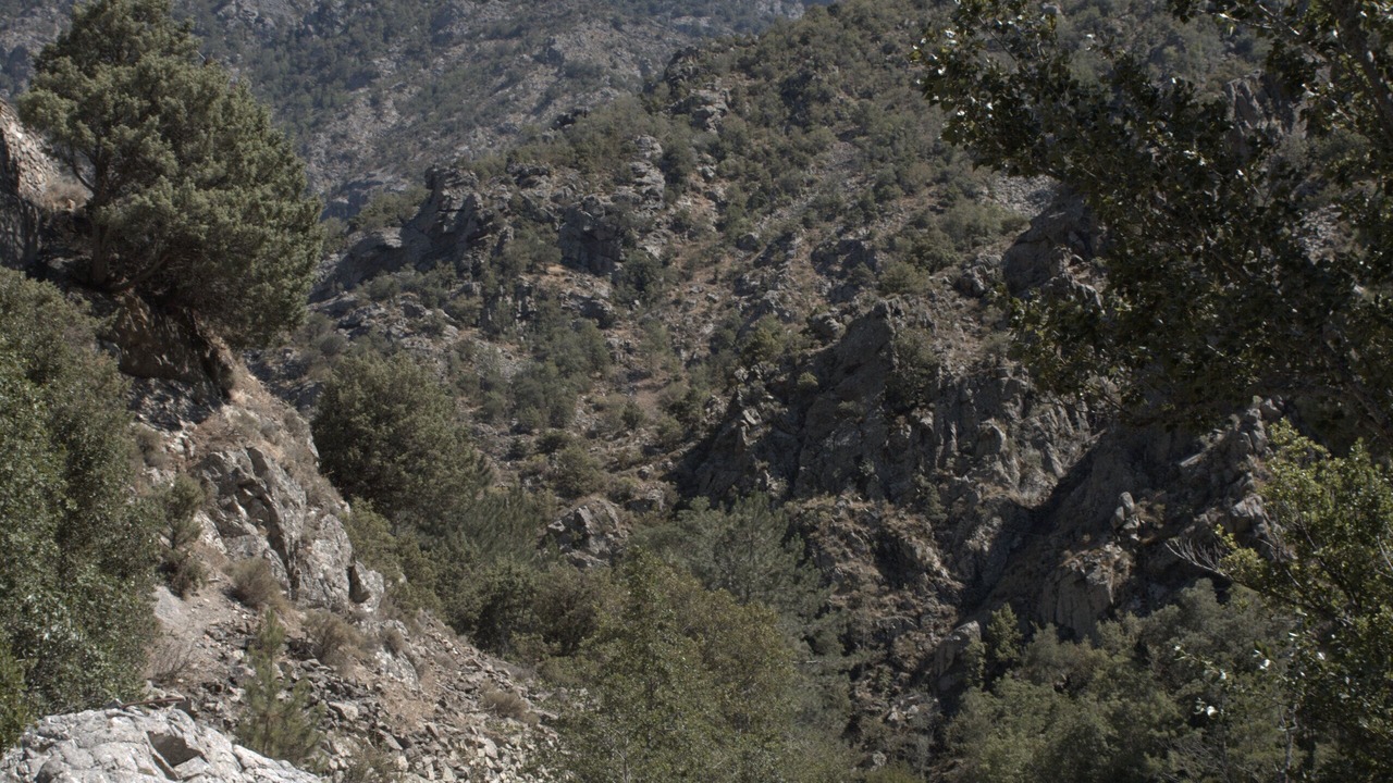 Photo of Outdoor in Lento