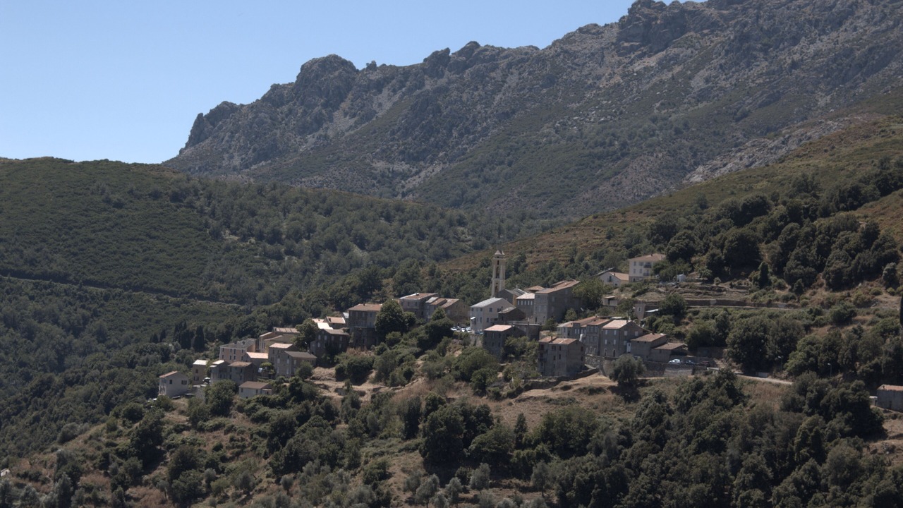 Photo of Outdoor in Lento