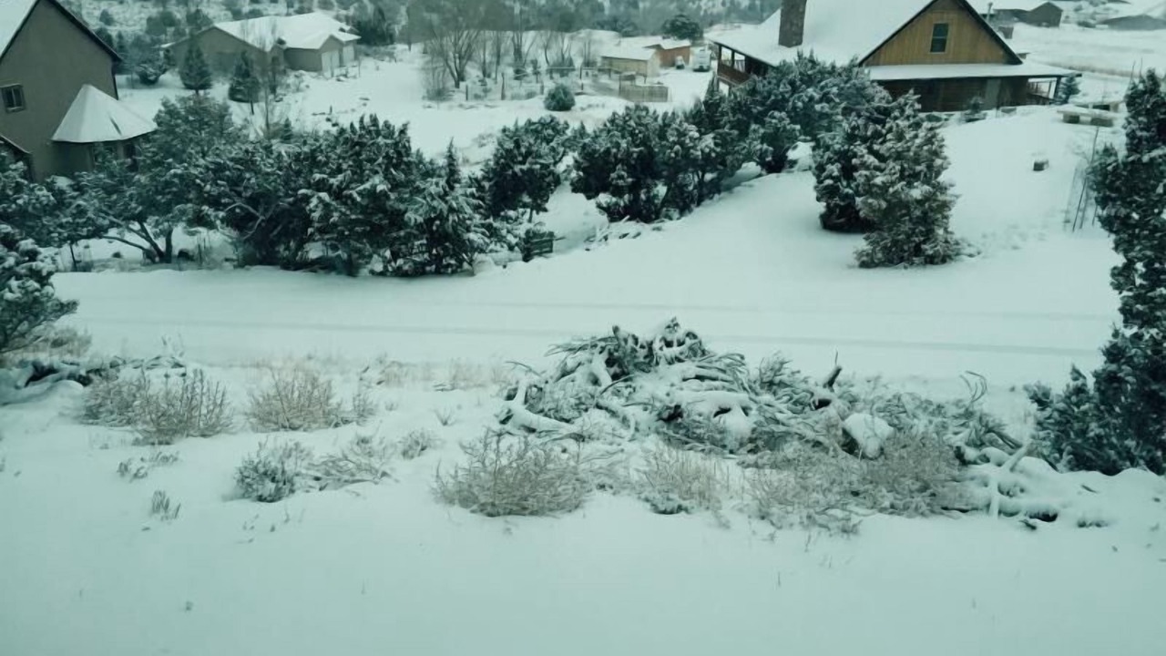 Photo of Outdoor in Sterling