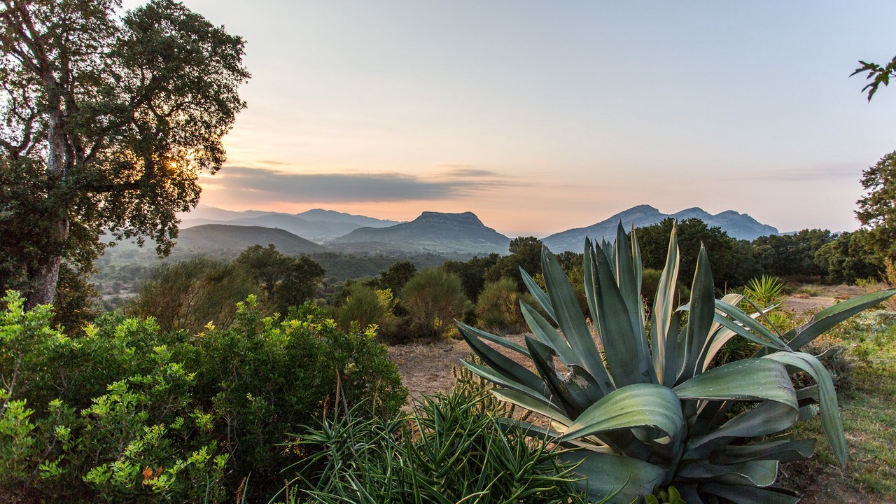 Photo of Outdoor in Poggio-dʼOletta
