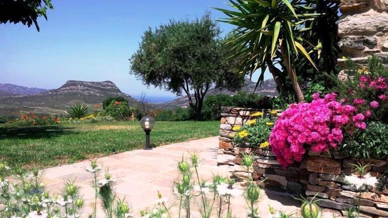 Photo of Outdoor in Poggio-dʼOletta