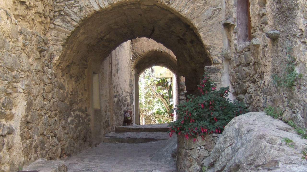 Photo of Outdoor in Lama