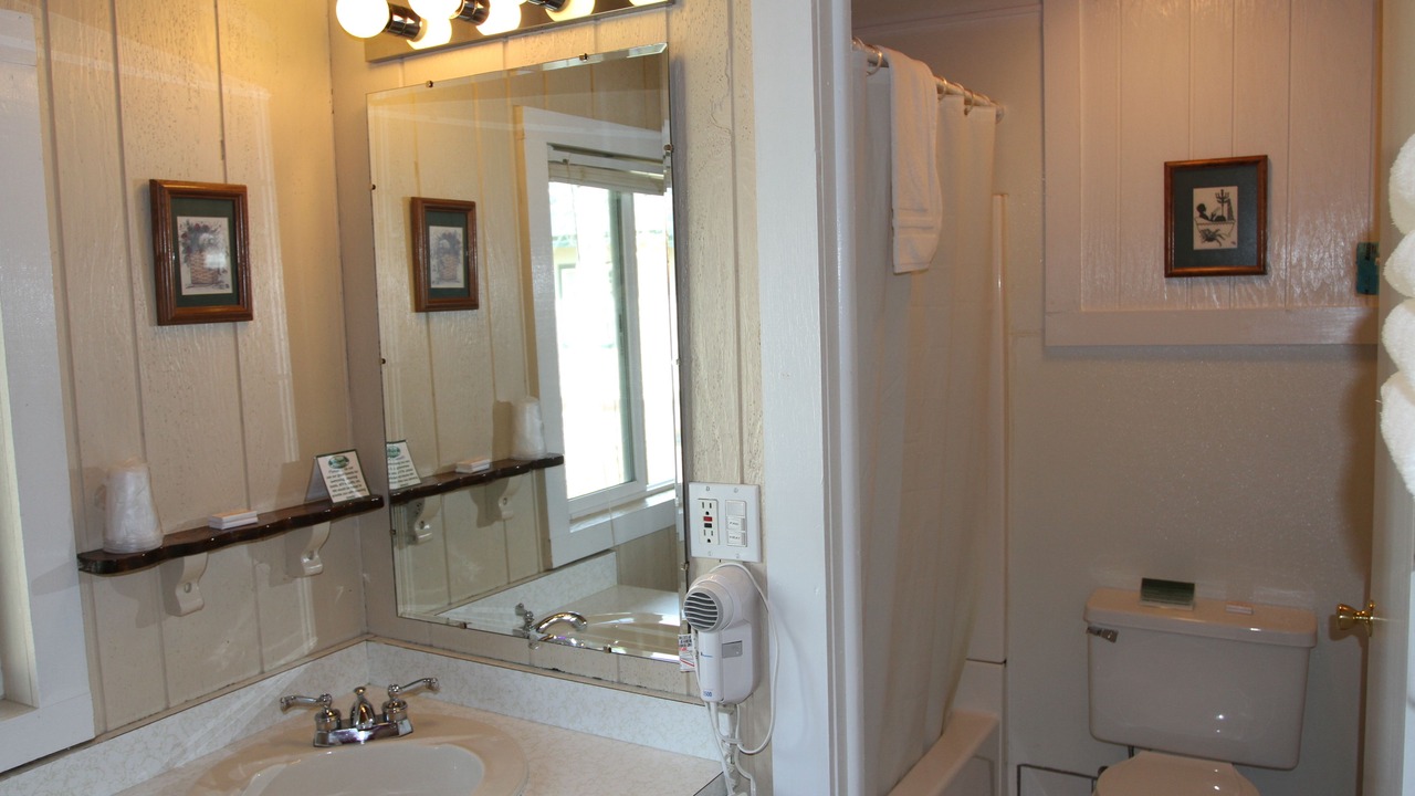 Photo of Bathroom in Trout Creek