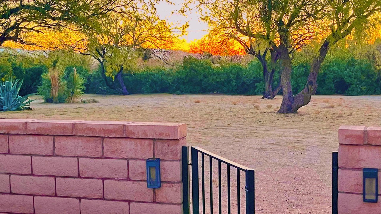 Photo of Outdoor in Sahuarita