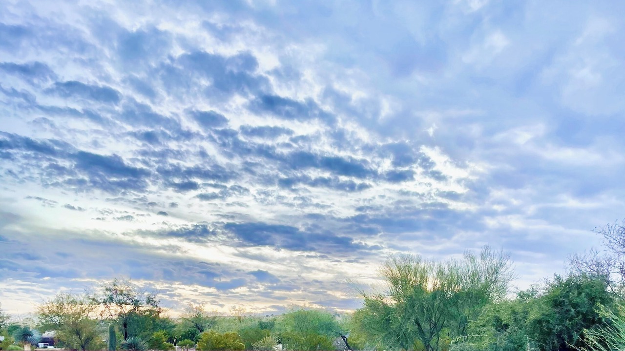Photo of Others in Sahuarita