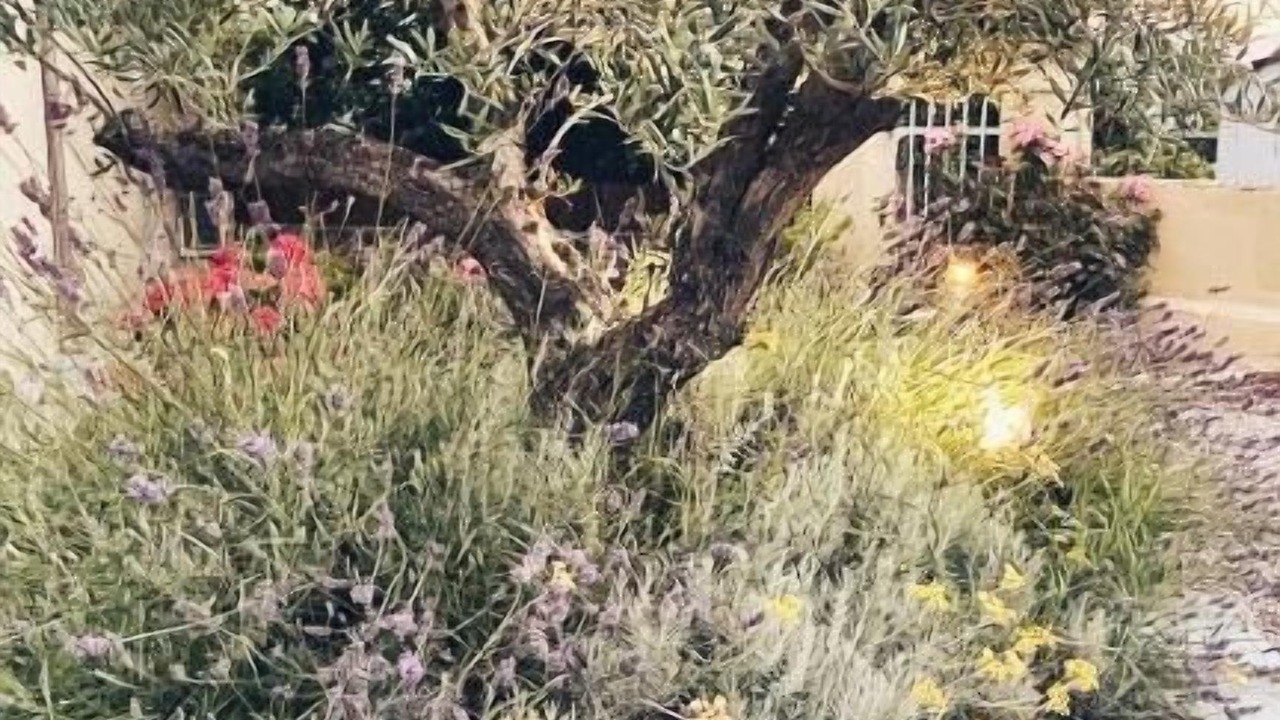 Photo of Outdoor in Rutali