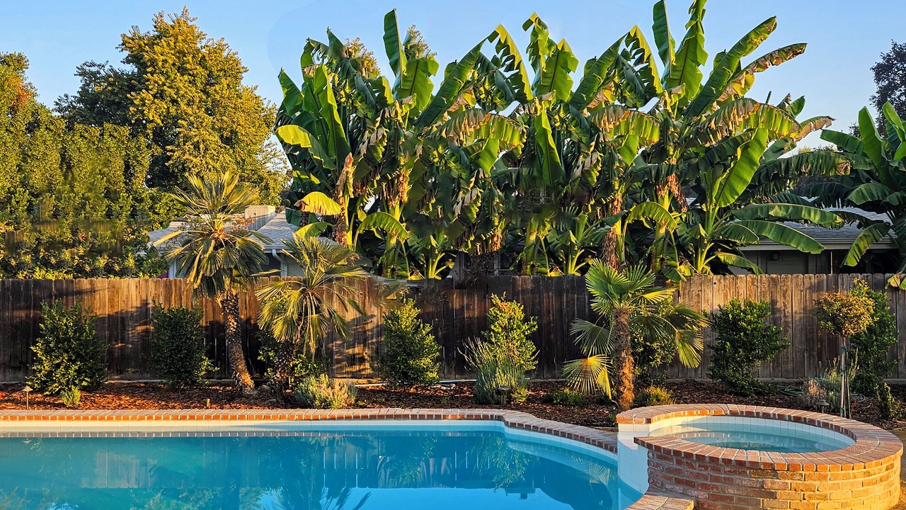Photo of Outdoor in Visalia